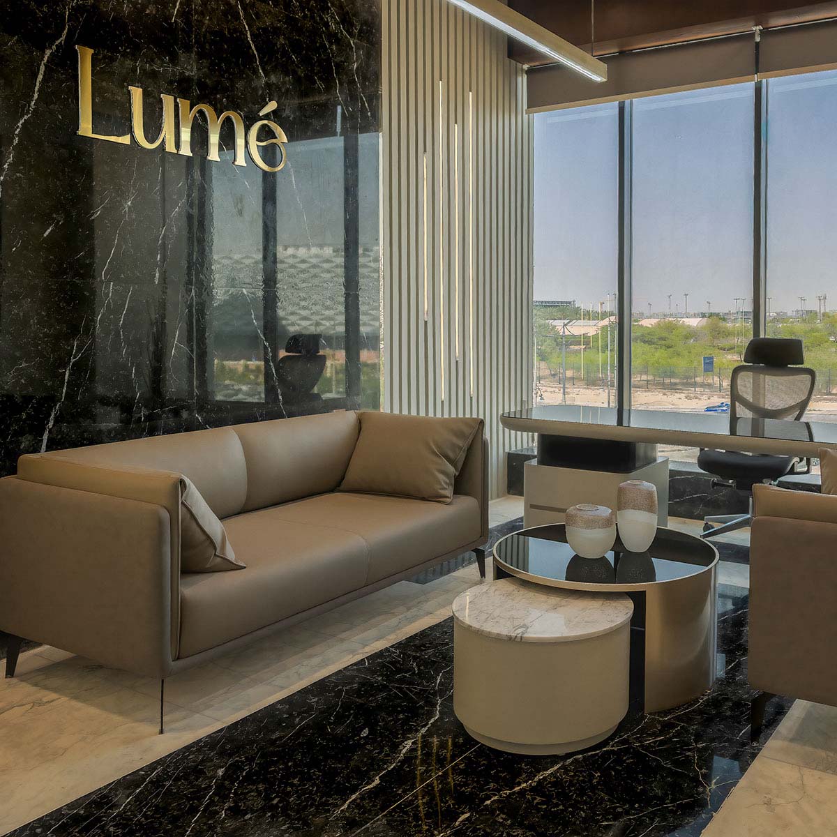 Modern Leather Couch