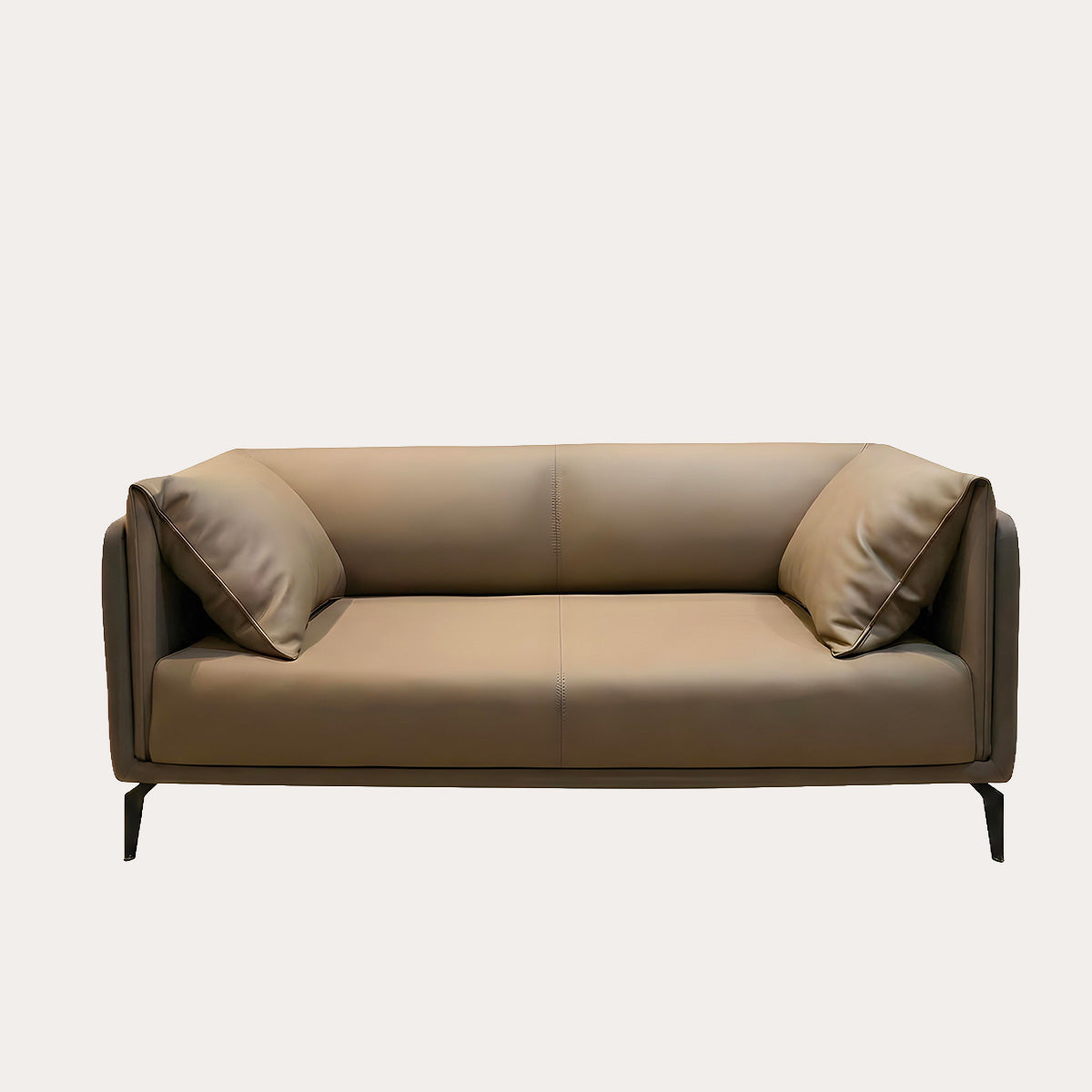 Modern Leather Couch
